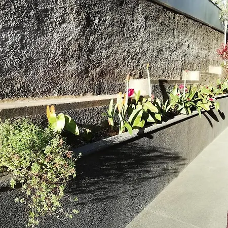 Fx Carvalhal Funchal (Madeira)