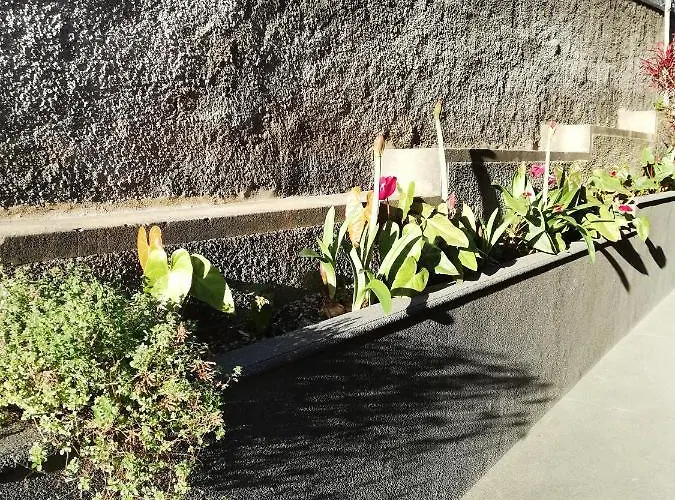 Fx Carvalhal Funchal (Madeira)