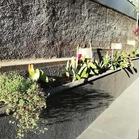 Fx Carvalhal Funchal